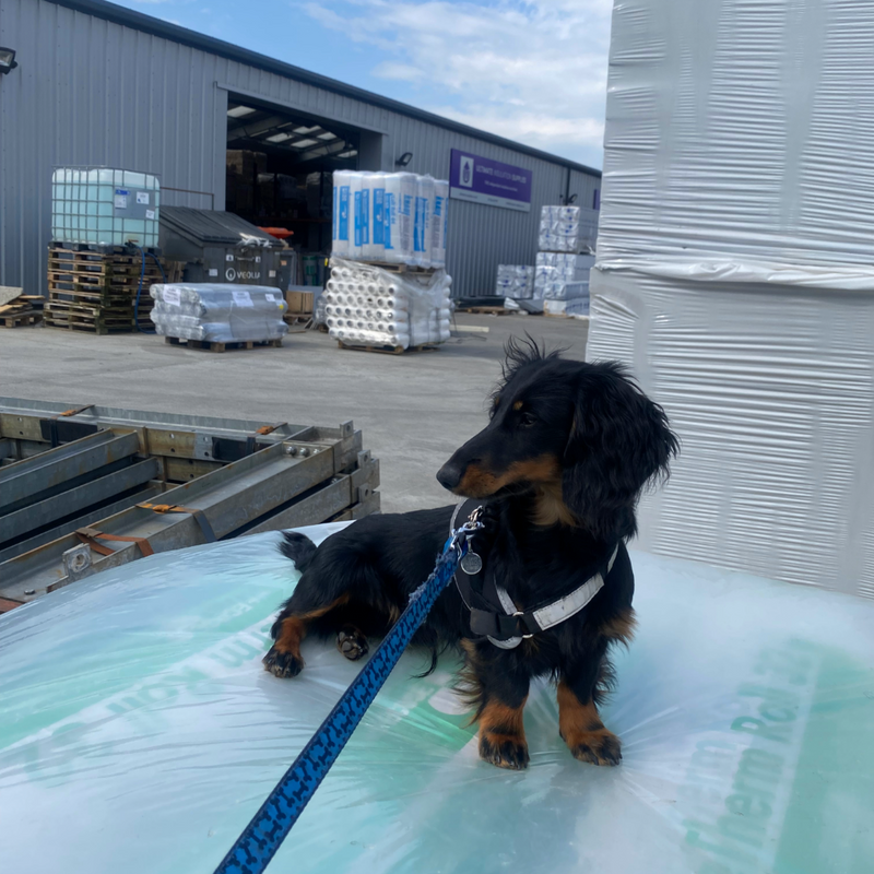 Ultimate Insulation Supplies - Bertie